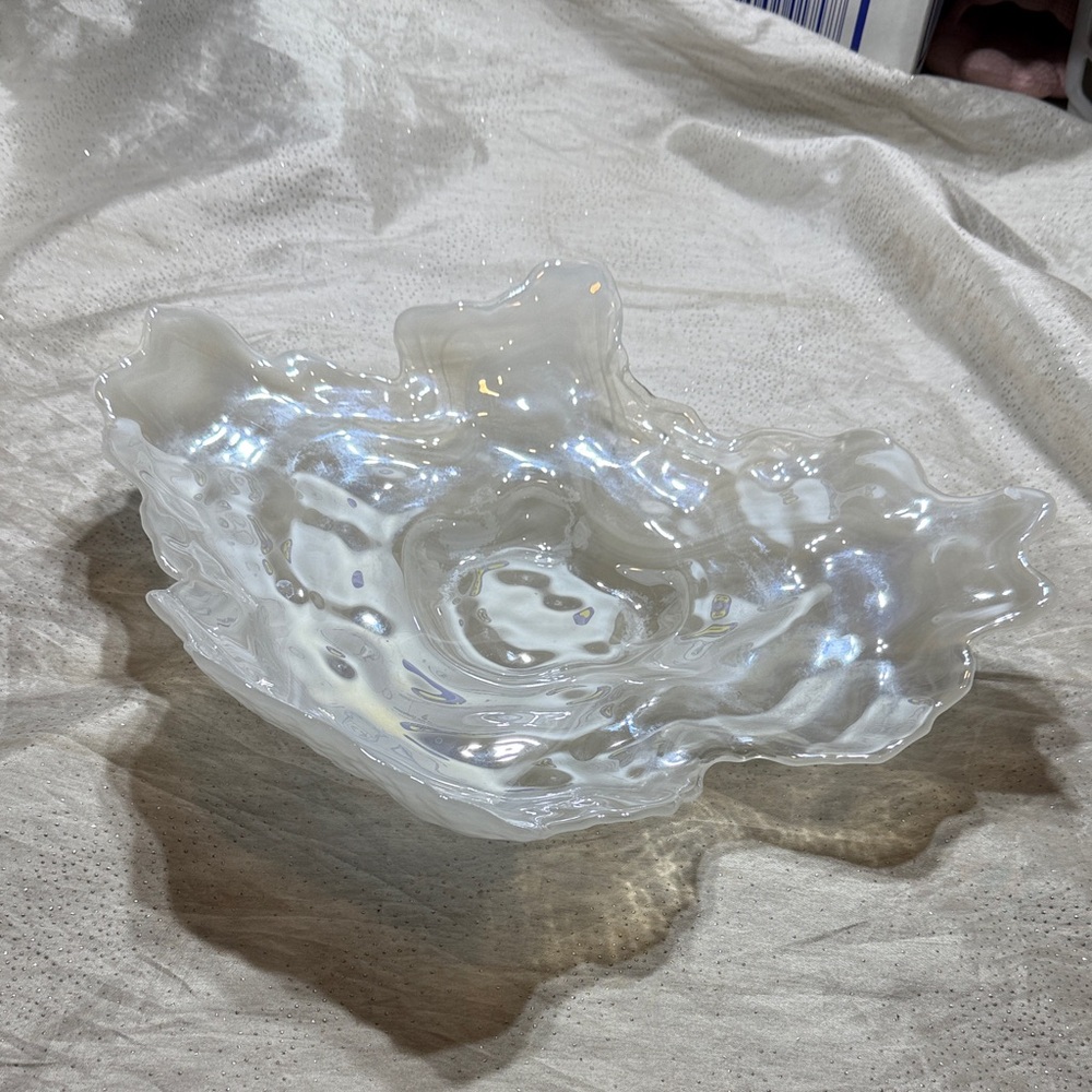 Vintage Oyster Shell Iridescent Glass Big Bowl Plate Multicolor Light